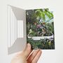Set Of Four Cut Out Window Greetings Cards, thumbnail 8 of 11