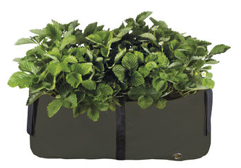 The Green Block Reusuable Grow Bag And Planter, 10 of 11
