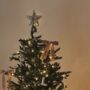 Velvet Embellished Star Christmas Tree Topper, thumbnail 3 of 3