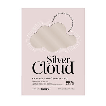 Silver Cloud Caramel Satin Pillowcase With Silver Ions, 7 of 8