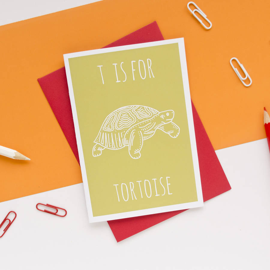 Tortoise Card By Darwin Designs | notonthehighstreet.com