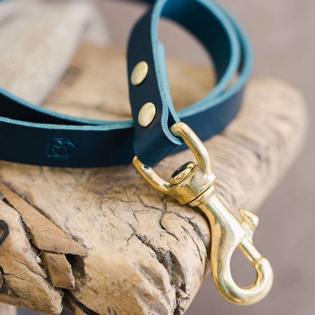 Blue Leather Dog Collar, Lead And Personalised Name Tag By The Stately