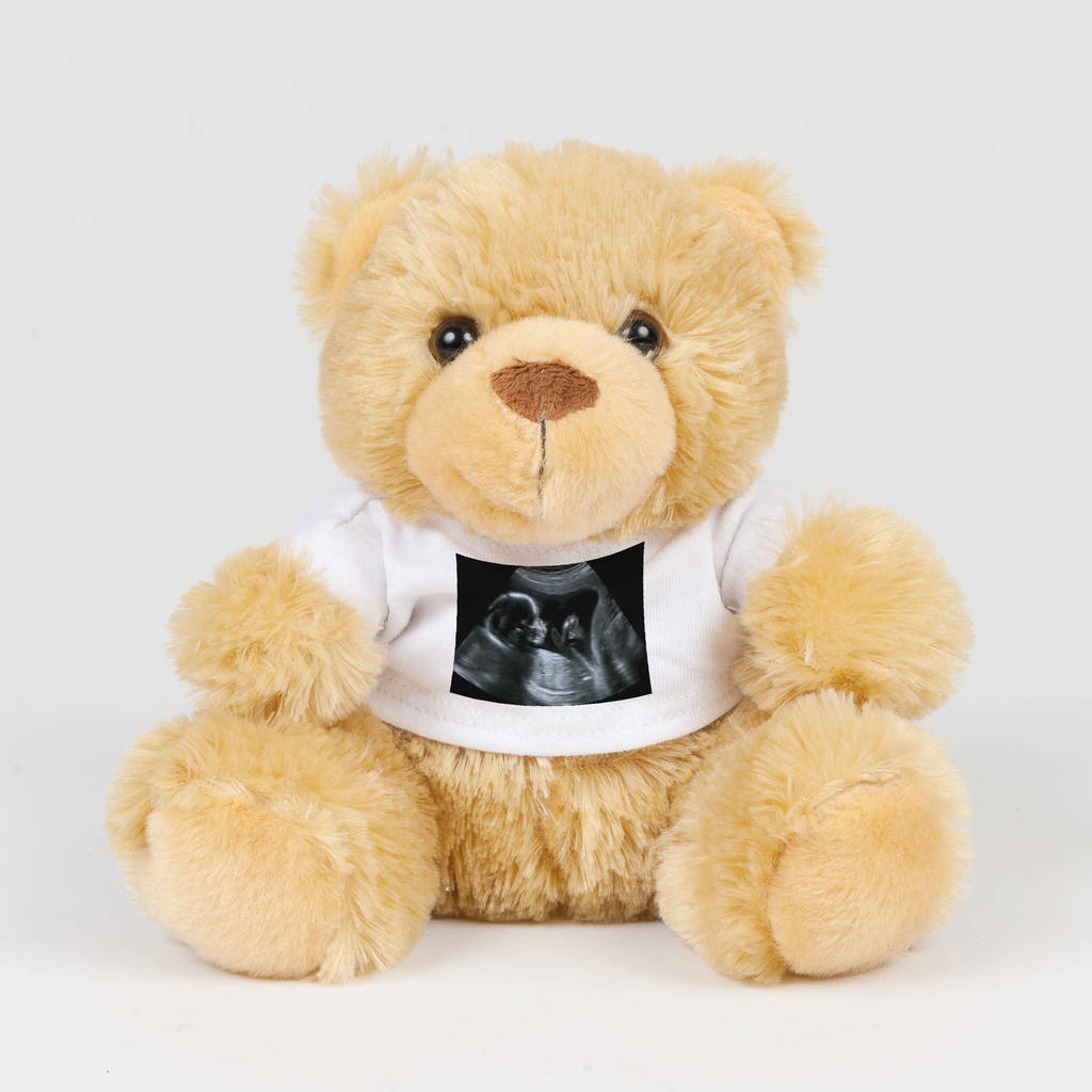 teddy bear with recorded message