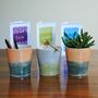Best Teacher. Thank You Gift. Tumbler, Mug, Pencil Holder, Plant Pot, thumbnail 3 of 8