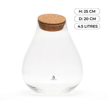 Small Teardrop Glass Container | H: 25 Cm, 2 of 6