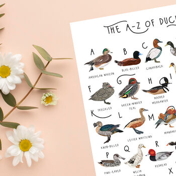 The A To Z Of Ducks Print, 5 of 6
