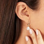 Gold Or Silver Large Pearl Drop Hoop Earrings, thumbnail 1 of 8