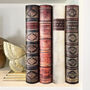 Set Of Four English Poet Themed Book Look A4 File Ring Binders Create Shelf Art And Storage, thumbnail 1 of 4