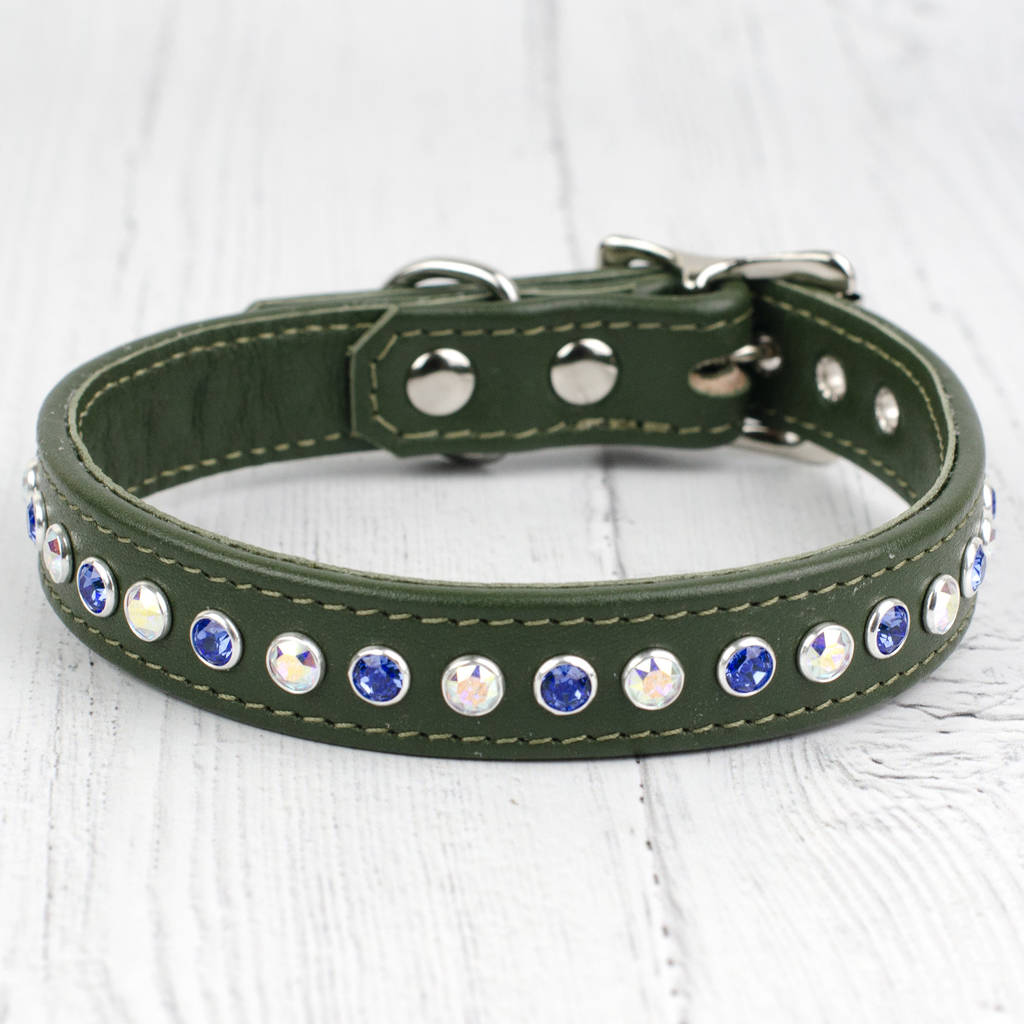 Straight Flush Bespoke Crystal Dog Collar By Petiquette Collars