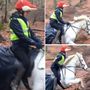 Fox Style Hi Vis Helmet Or Riding Hat Cover, thumbnail 8 of 11