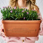 Special Birthday Gift Terracotta Planter, thumbnail 1 of 2