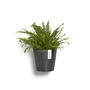 Ecopots Amsterdam Wall Pot Made From Recycled Plastic, thumbnail 8 of 8