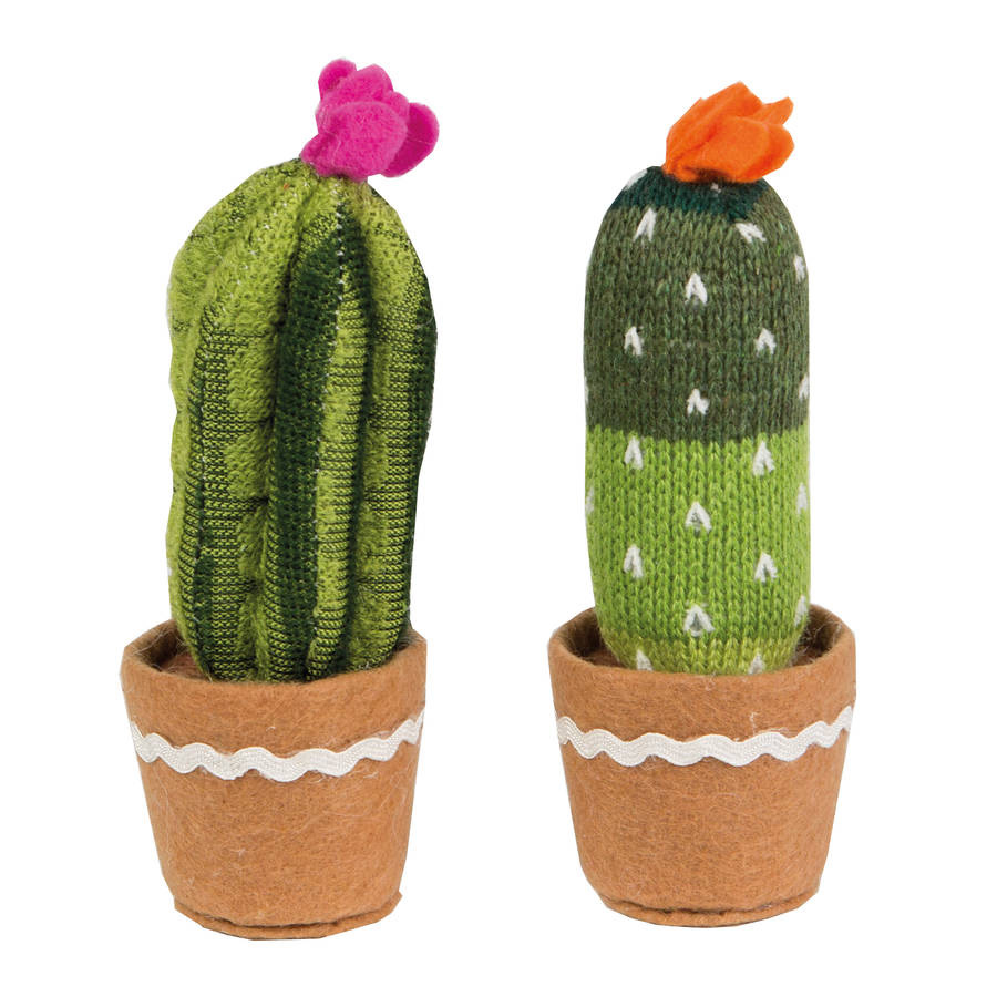 artificial cactus set by marquis & dawe
