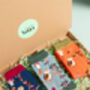 Owl Bamboo Socks Letterbox Giftset, thumbnail 1 of 11