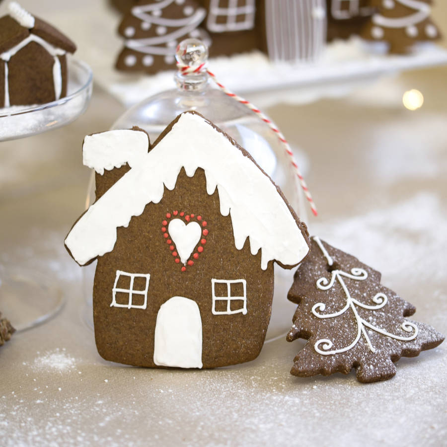 christmas gingerbread house gift set by nila holden cookies & biscuits