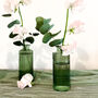 Three Pressed Glass Bottle Vases Amelie Green, thumbnail 2 of 6