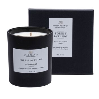 Forest Bathing Aromatherapy Vegan Candle, 6 of 12