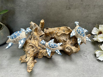 Set Of Three Swimming Turtles On Driftwood – Handmade Gift, 3 of 11