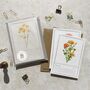 Set Of Six Pink, Orange And Yellow Floral Notecards And Envelopes, thumbnail 10 of 11