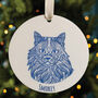 Personalised Fluffy Cat Christmas Tree Decoration, thumbnail 1 of 4