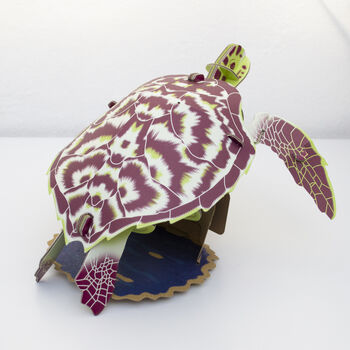 Build Your Own Personalised Hawksbill Turtle, 8 of 10