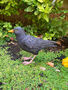 Lifelike Blackbird Garden Sculpture Gift Ornament Frost Proof, thumbnail 1 of 9