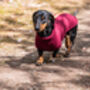 Dachshund Polartec Water Resistant Dog Coat, thumbnail 10 of 10