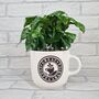 Giant Coffee Mug Planter Optional Coffee Plant Gift, thumbnail 1 of 5