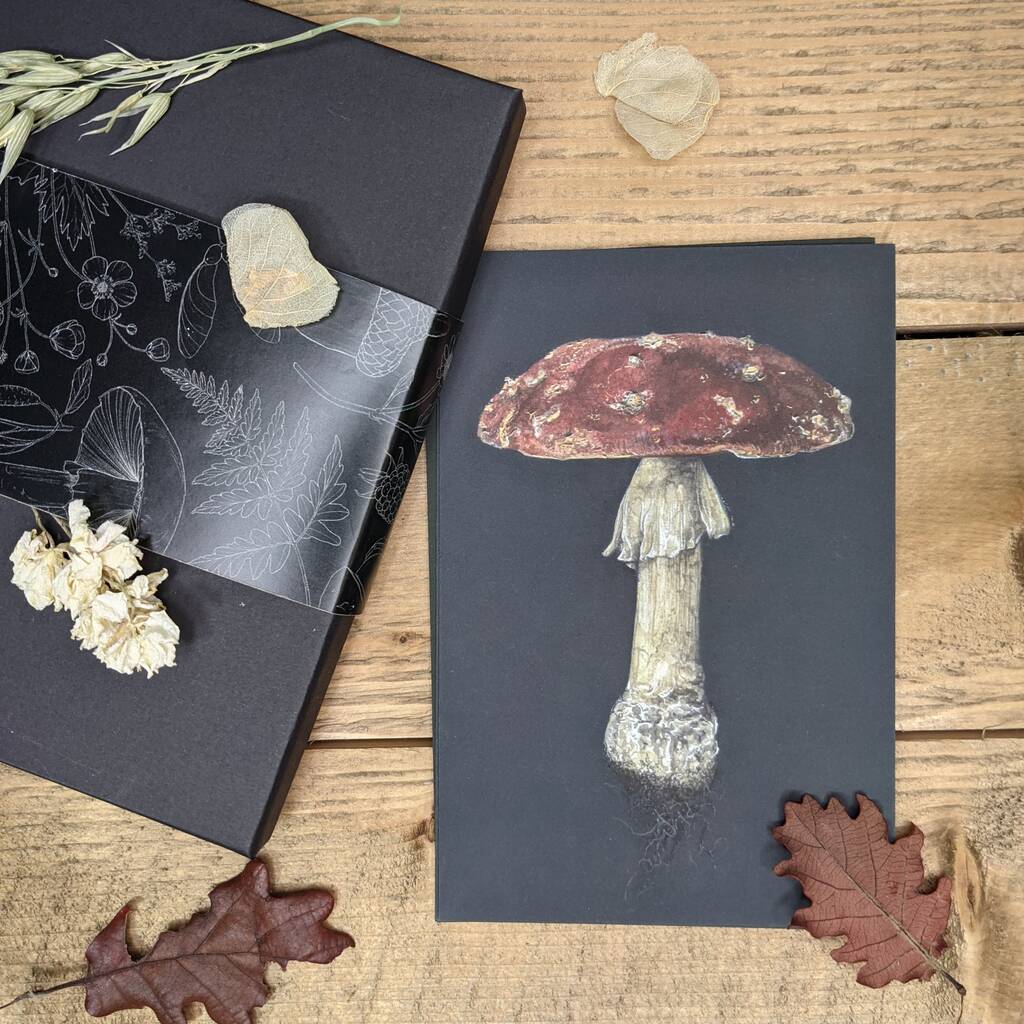 Mushroom Print Set By Becci Maryanne