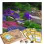 Grow Your Own Vibrant Rock Garden Gift Set, thumbnail 1 of 8