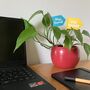 Personalised Mini Flag Custom Colour Decoration, thumbnail 9 of 11