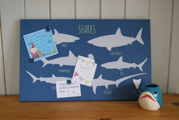 Shark Magnetic Noticeboard, 3 of 4