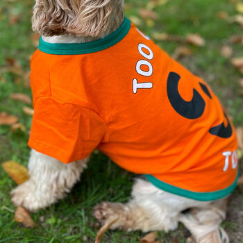 Halloween Pumpkin Dog Graphic T Shirt, 2 of 5