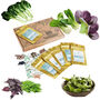 Grow Your Own Oriental Vegetables Gift Set, thumbnail 1 of 8