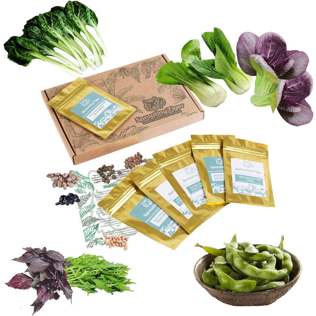 Grow Your Own Oriental Vegetables Gift Set, 1 of 8
