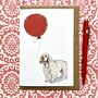 Clumber Spaniel Birthday Card, thumbnail 1 of 4