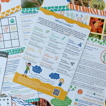 Children's Eco Activity Box: Majestic Lions, 4 of 12