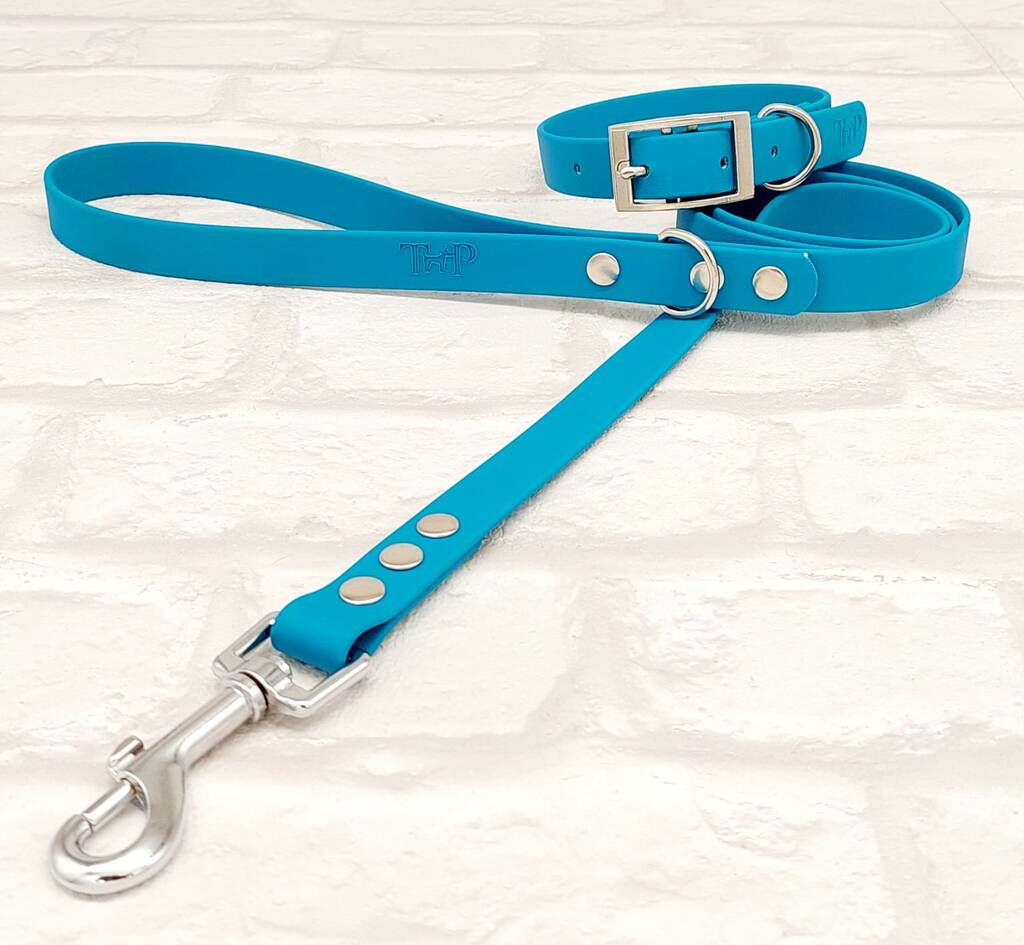 Waterproof Dog Collar And Lead Set Lagune By Trinkety Paws