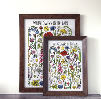 Wildflowers Of Britain Wildlife Watercolour Print, 6 of 7
