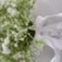 The Gina Gypsophilia Bridal Bouquet, thumbnail 10 of 12