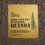 Grow Your Own Quinoa Kit, thumbnail 1 of 3
