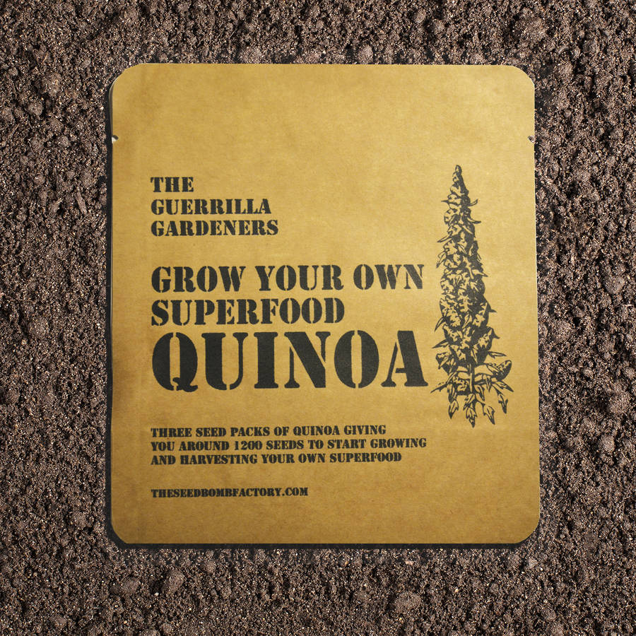 Grow Your Own Quinoa Kit, 1 of 3