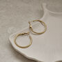 Classic Hoop Earrings Gold, thumbnail 3 of 9