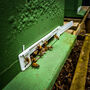 Yorkshire Beekeeping Experience, thumbnail 3 of 8