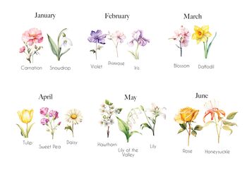 Personalised Family Birth Month Flower Print | Custom Botanical Keepsake, 2 of 5