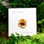 Pansy Yellow Flower Brooch, thumbnail 3 of 6