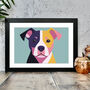 Staffordshire Bull Terrier Portrait Illustration Print, thumbnail 1 of 2