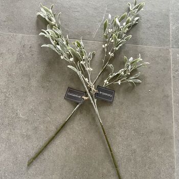 Artificial Green Mistletoe Spray, 3 of 6