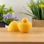 Duck Easter Tiny Little Gifts, thumbnail 2 of 2