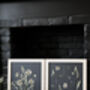 Daisy Haze Botanical Wall Art – A3 Pressed Flower Frame In Sand, thumbnail 6 of 7